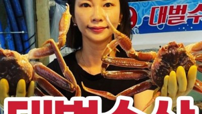 놓치면 후회! 죽도시장 포항대게 특가 후기🦀✨