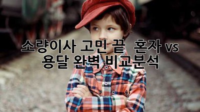 소량이사 고민 끝! 🤔 혼자 vs 용달, 완벽 비교분석 🚚