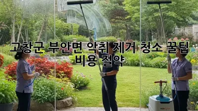 고창군 부안면 악취 제거 청소 꿀팁 🏡✨ 비용 절약!